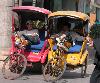 輪タクの運転手たち