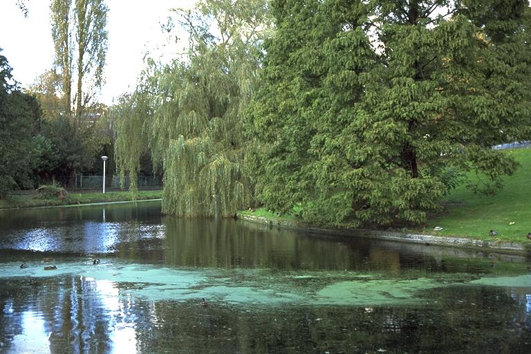 Park