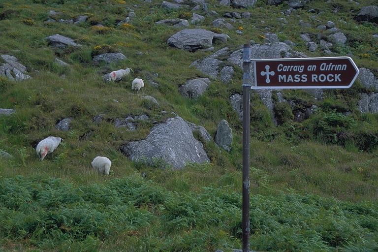 Ring of Beara