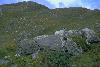 Ring of Beara $BMS(J