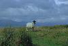 Ring of Beara $BMS(J