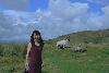 Ring of Beara $BMS(J