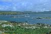 Ring of Beara