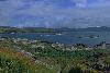 Ring of Beara