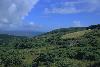Ring of Beara