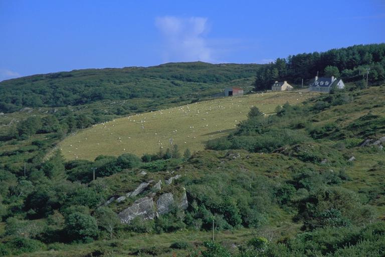 Ring of Beara
