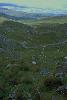 Healy Pass