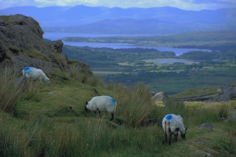 Healy Pass