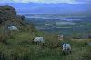 Healy Pass