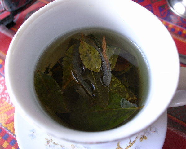 Coca Tea