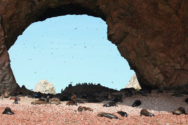 Islas Ballestas