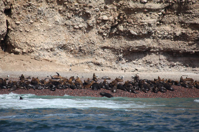 Islas Ballestas