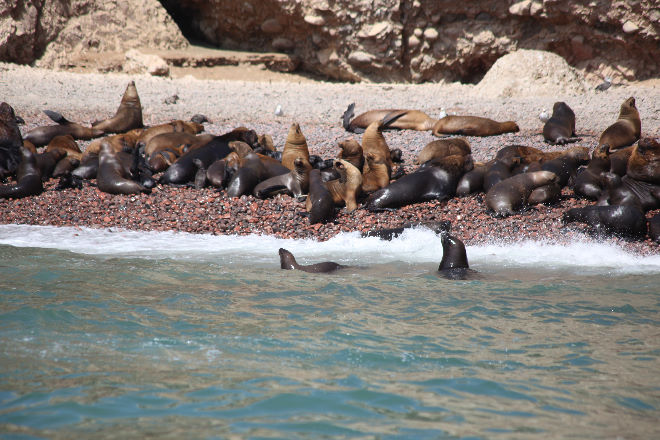 Islas Ballestas