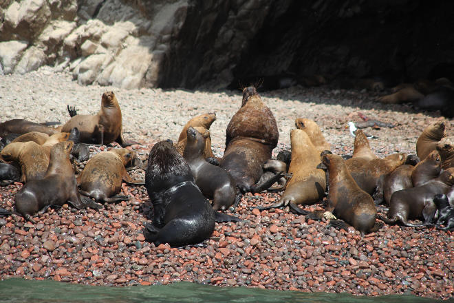 Islas Ballestas