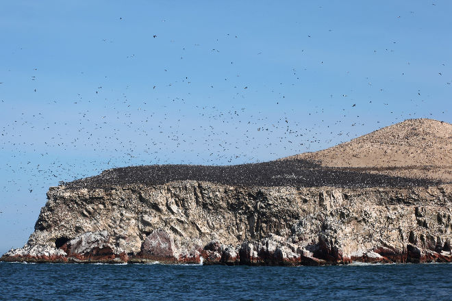 Islas Ballestas