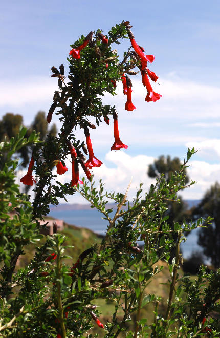 Isla Taquile