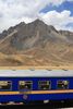 Andean Explorer