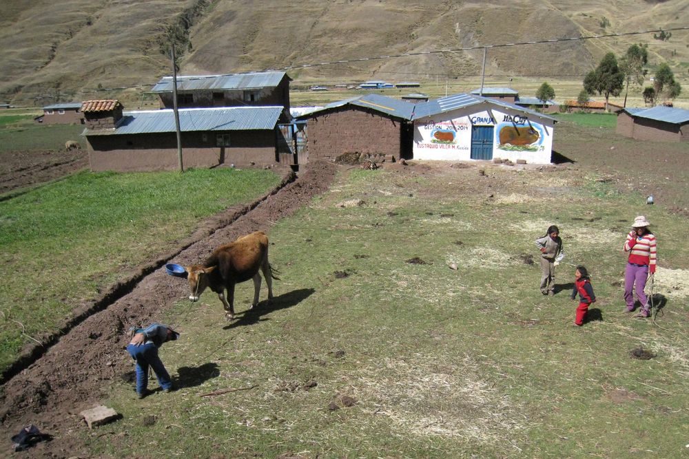 Andean Explorer