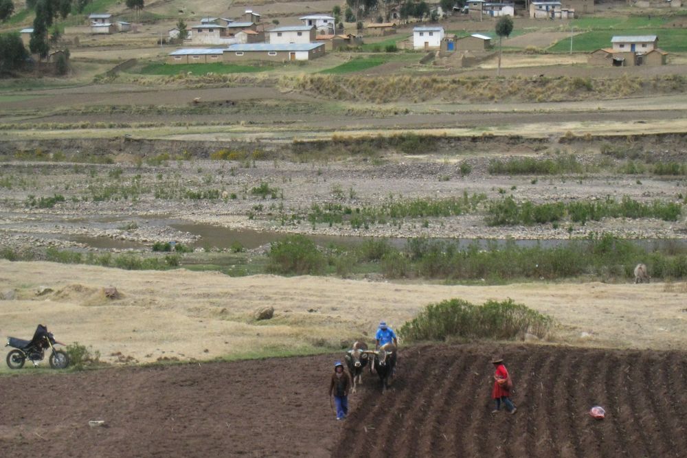 Andean Explorer