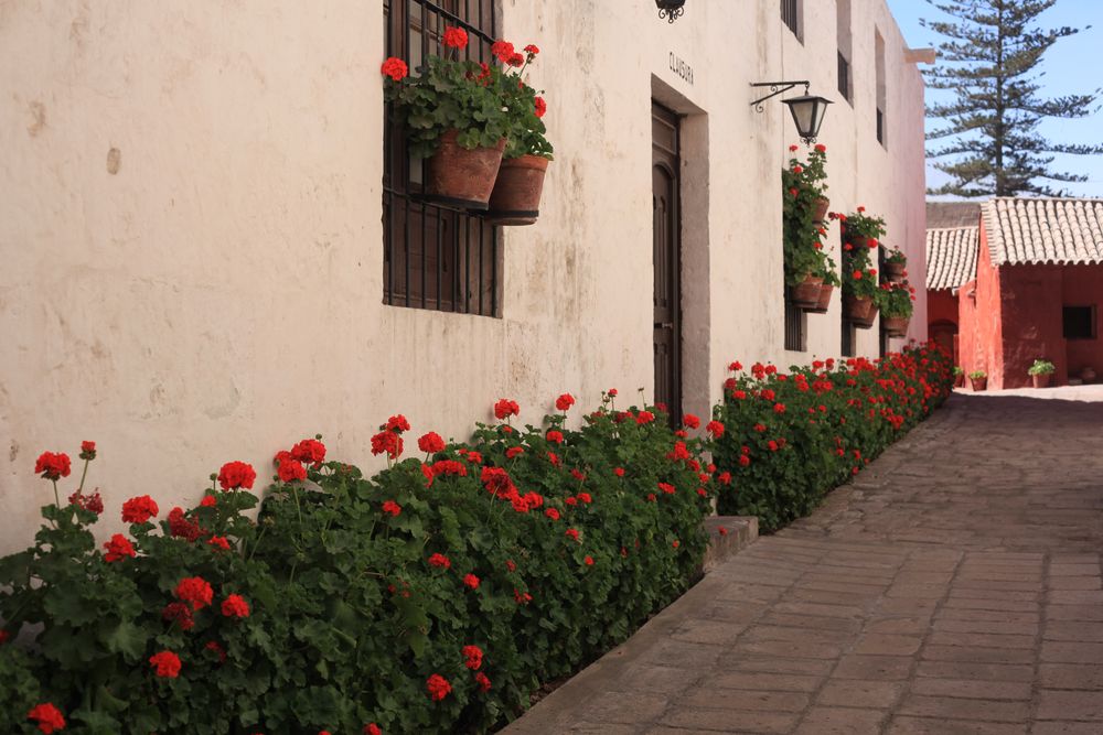 Monasterio de Santa Catalina