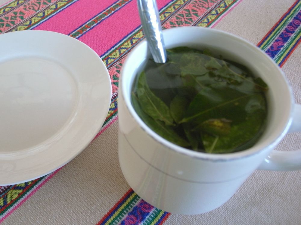 Coca tea
