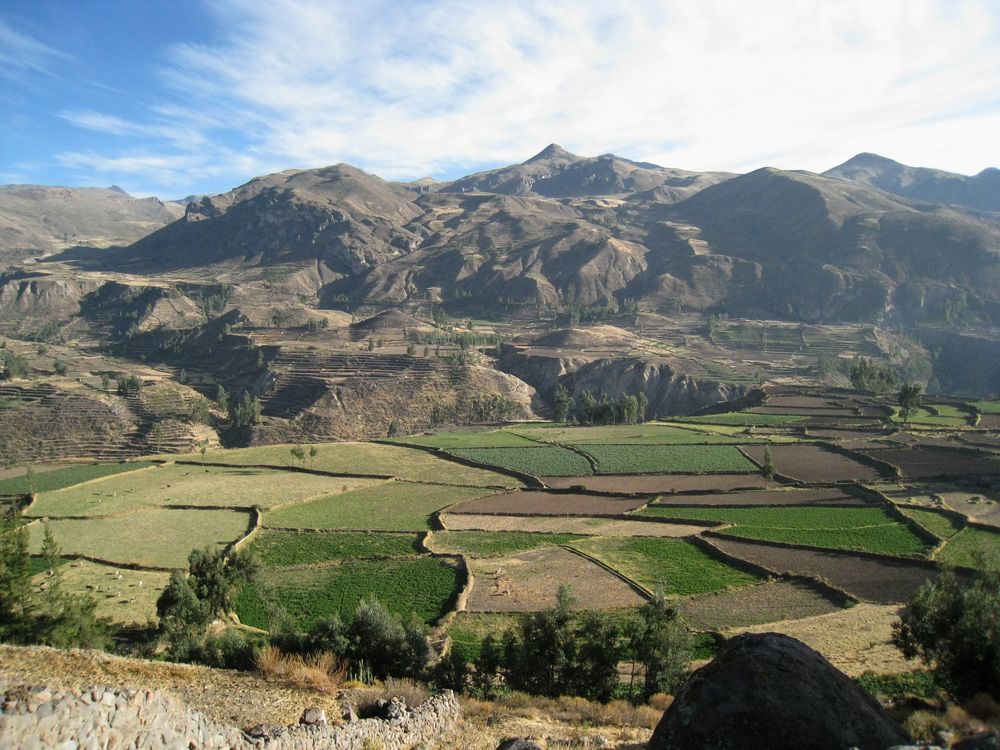 Cruz del Condor 