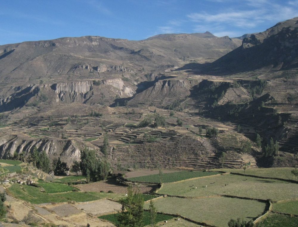 Cruz del Condor 