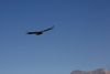 Cruz del Condor
