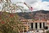 Cuzco