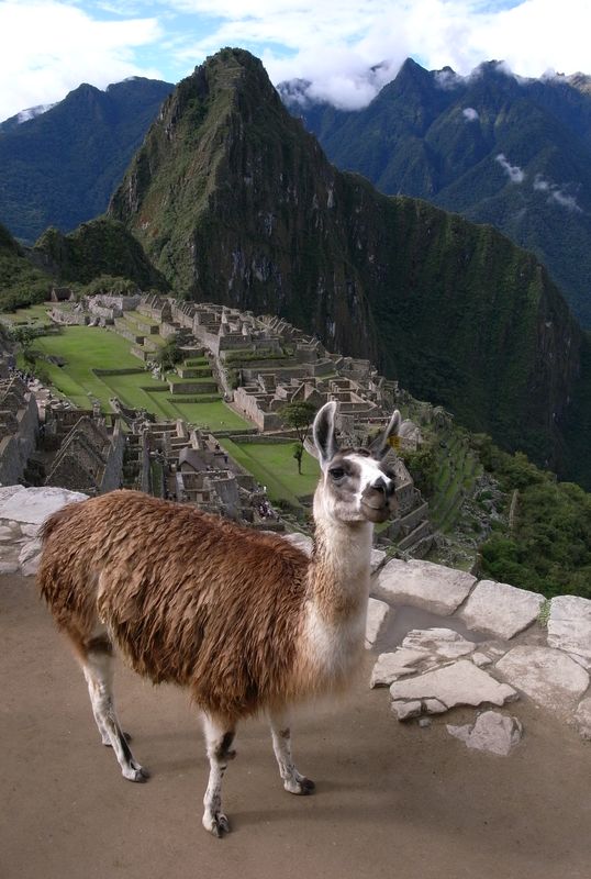 Machupicchu