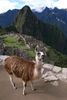 Machupicchu 