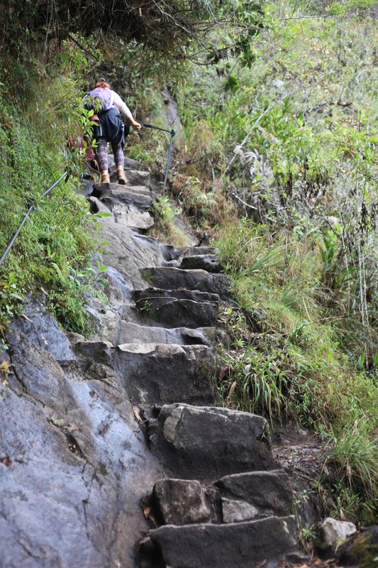 Huayna Picchu
