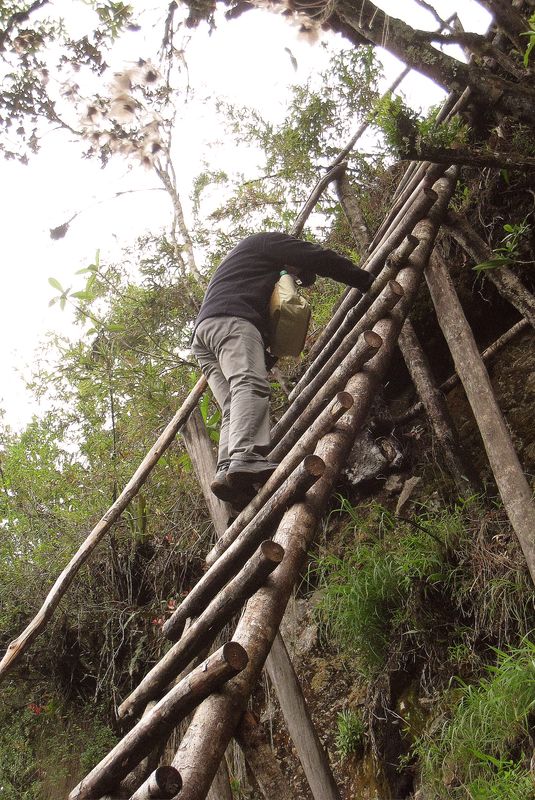 Huayna Picchu
