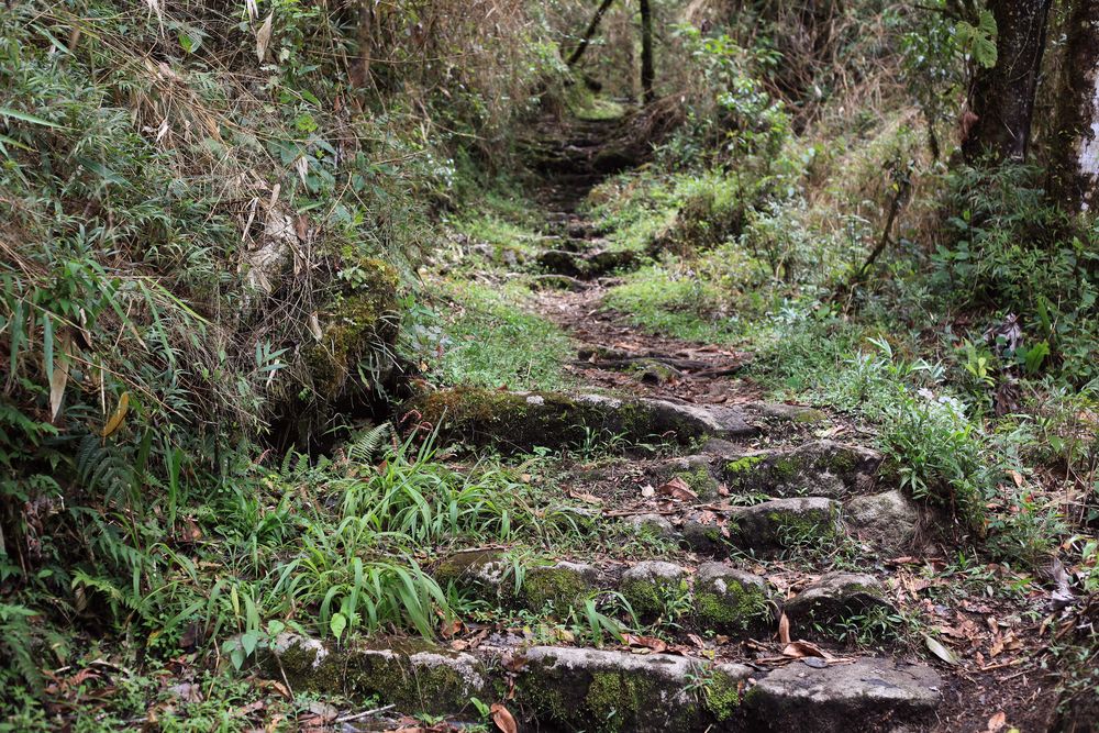 Huayna Picchu