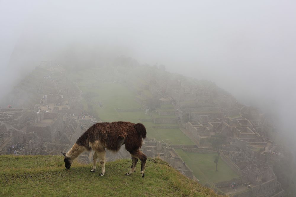 Machupicchu