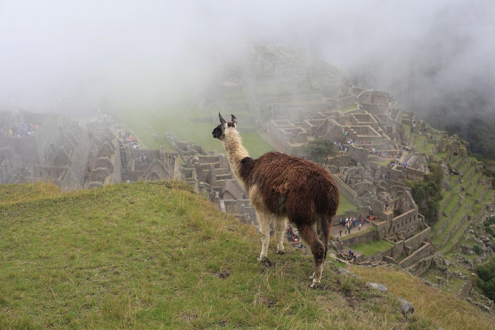Machupicchu