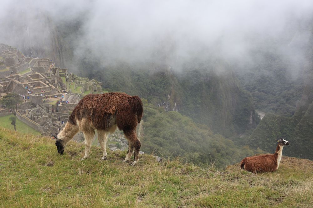 Machupicchu