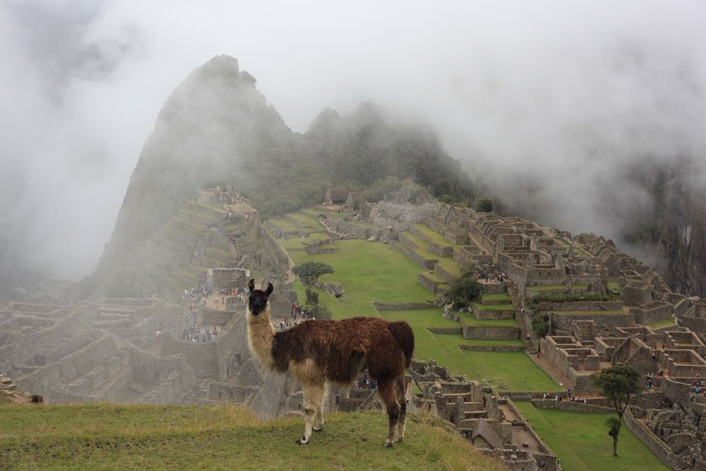 Machupicchu
