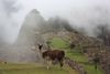 Machupicchu