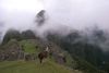 Machupicchu 