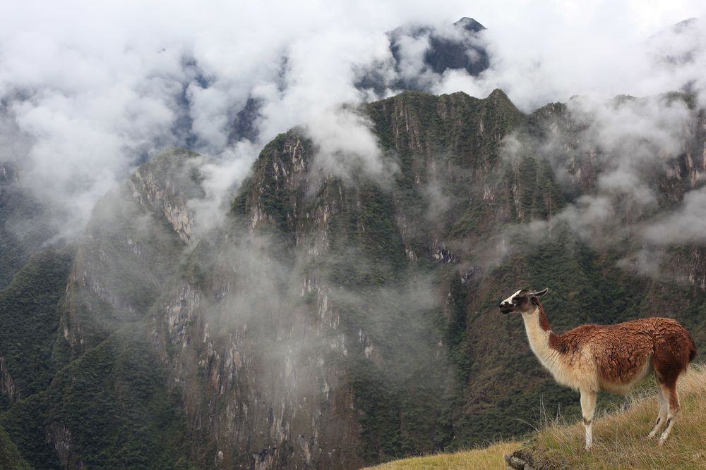 Machupicchu