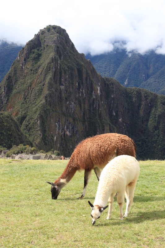 Machupicchu