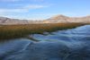 Lago Titicaca 