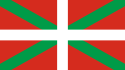 The Vasco flag