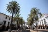 Plaza Grande