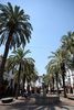 Plaza Grande