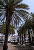 Plaza Grande