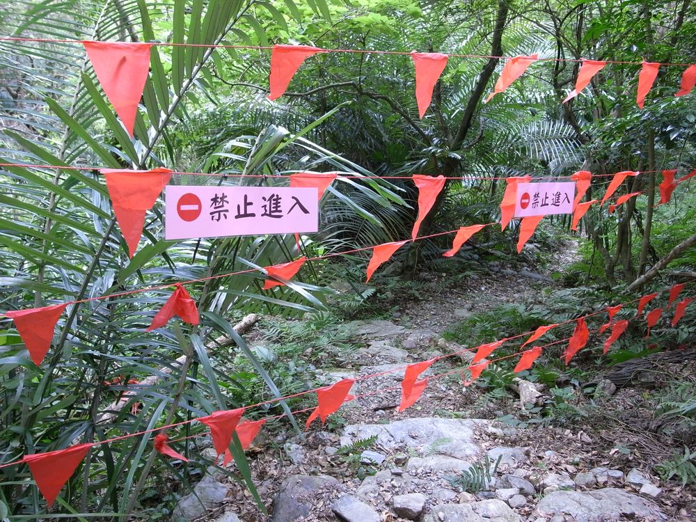 緑水歩道