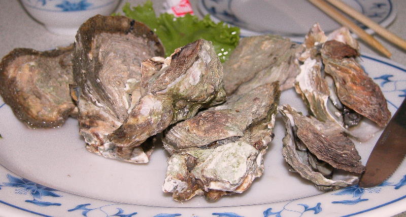 Ó